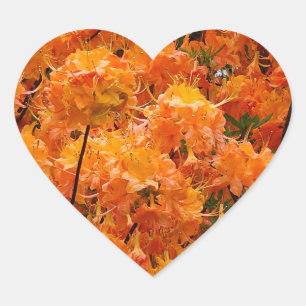 Pegatina En Forma De Corazón Flores de Azalea Llama