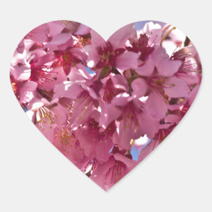 Pegatina En Forma De Corazón Flores de Cerezo Sakura Estrellas Rojas