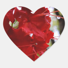 Pegatina En Forma De Corazón Flores de la Azalea Roja