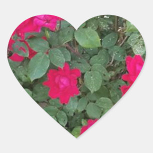 Pegatina En Forma De Corazón Flores Hermosas
