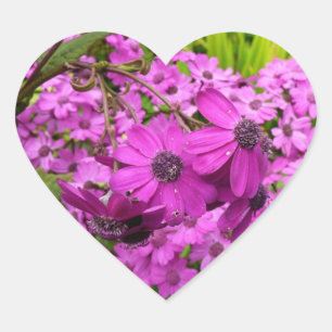Pegatina En Forma De Corazón Flores moradas de San Francisco
