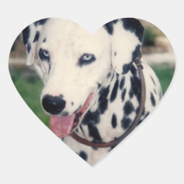 Pegatina En Forma De Corazón Foto de mi Mascota amigo Personalizado