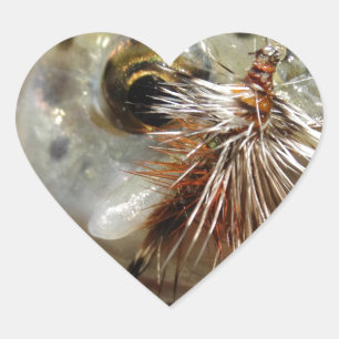 Pegatina En Forma De Corazón Foto de Rainbow Trout