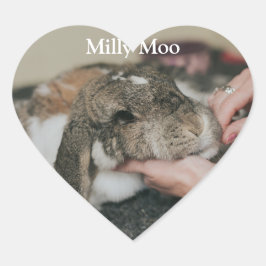 Pegatina En Forma De Corazón Foto Mascota personalizada