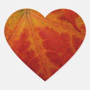 Pegatina En Forma De Corazón Fotografía roja de la naturaleza del otoño del