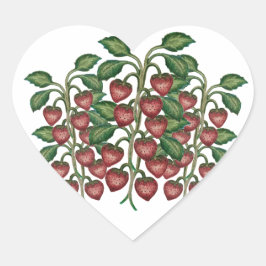 Pegatina En Forma De Corazón Frutillas corazón