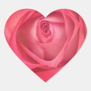 Pegatina En Forma De Corazón Fuego y pegatina subió hielo del corazón