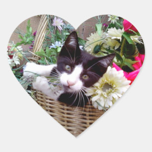 Pegatina En Forma De Corazón Gatito en una cesta