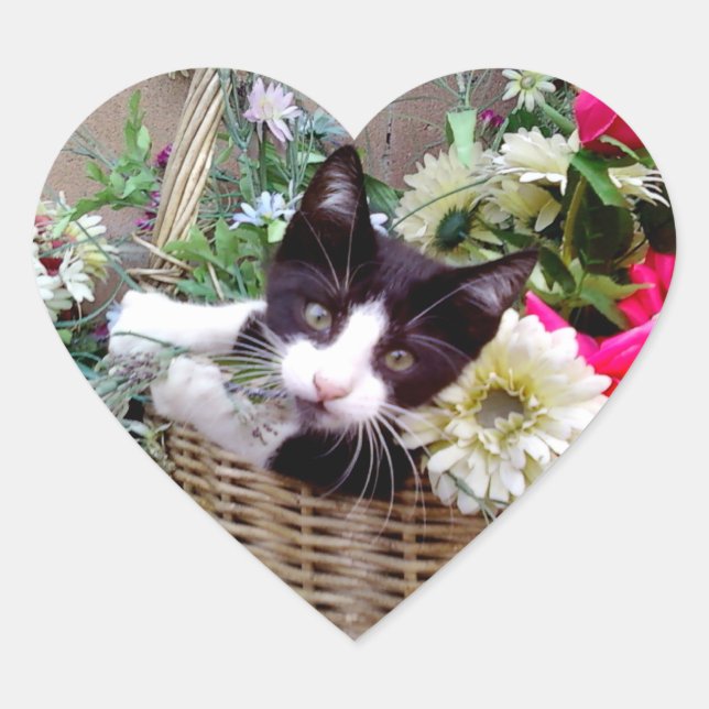 Pegatina En Forma De Corazón Gatito en una cesta (Anverso)