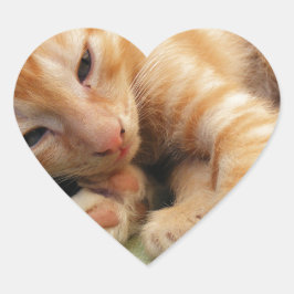 Pegatina En Forma De Corazón Gatito lindo con rayas de tigre