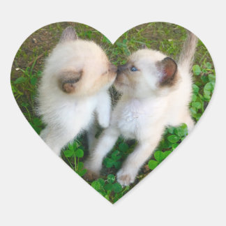 Pegatina En Forma De Corazón gatitos besándose