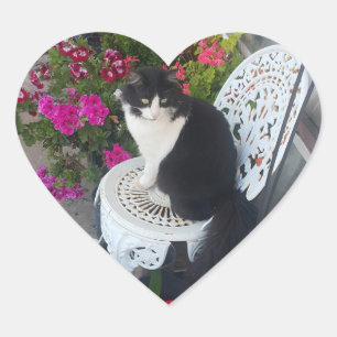 Pegatina En Forma De Corazón Gato esmoquin lindo con flores bonitas Gatos negro