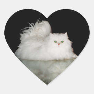 Pegatina En Forma De Corazón Gato persa con ojos verdes jade