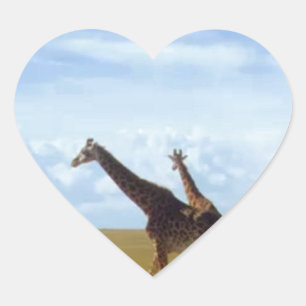 Pegatina En Forma De Corazón Girafas del Parque Nacional de Nairobi