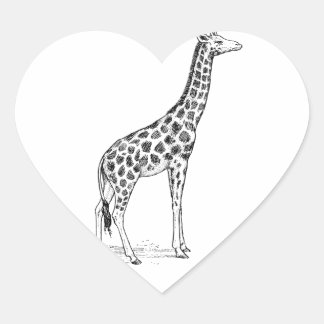 Pegatina En Forma De Corazón Giraffe