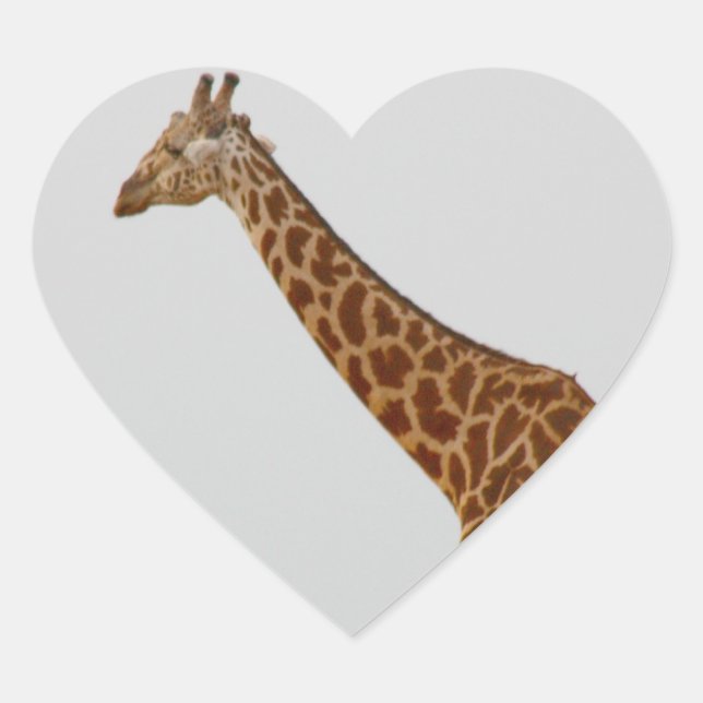 Pegatina En Forma De Corazón Giraffe (Anverso)