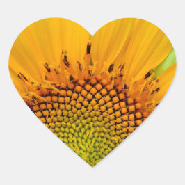 Pegatina En Forma De Corazón Girasol