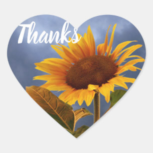 Pegatina En Forma De Corazón Girasol Amarillo Gracias Corazón Floral Azul