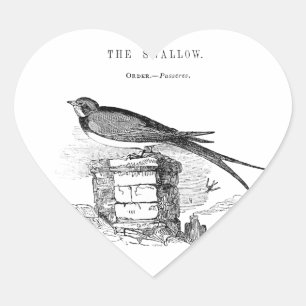Pegatina En Forma De Corazón Golondrina vintage