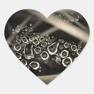 Pegatina En Forma De Corazón gotas de lluvia en la web