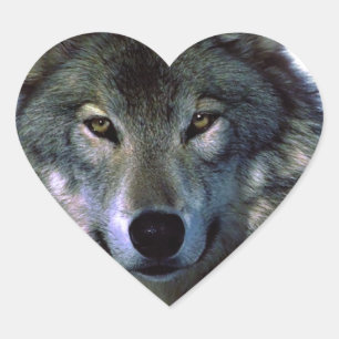 Pegatina En Forma De Corazón Gray Wolf Eyes
