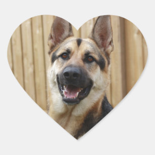 Pegatina En Forma De Corazón GSD Head Shot