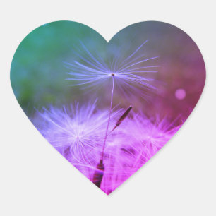 Pegatina En Forma De Corazón Haz un pegatina de dandilion de deseo