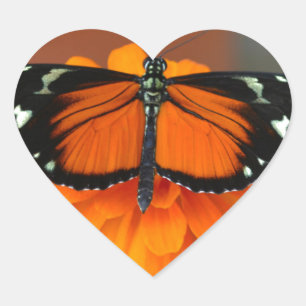 Pegatina En Forma De Corazón Hecale Longwing Butfly