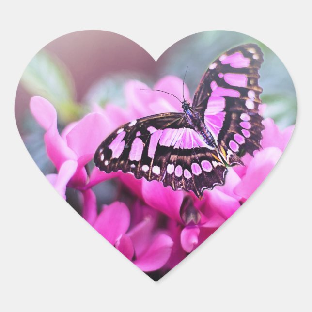 Pegatina En Forma De Corazón Hermoso (Anverso)