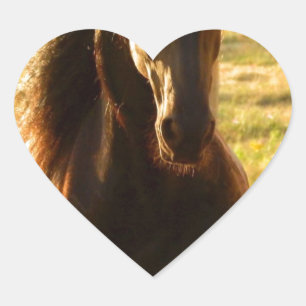 PEGATINA EN FORMA DE CORAZÓN HERMOSO CABALLO DE FRIESIA