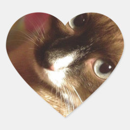 Pegatina En Forma De Corazón Hermoso gato marrón