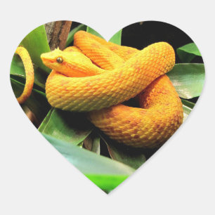 Pegatina En Forma De Corazón Hermoso Viper