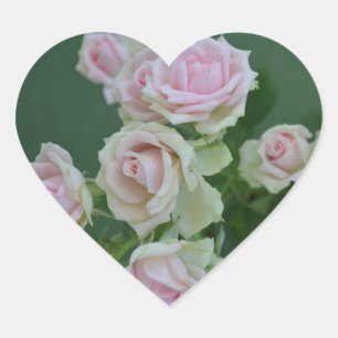 Pegatina En Forma De Corazón Hermosos rosas de jardín rosa claro