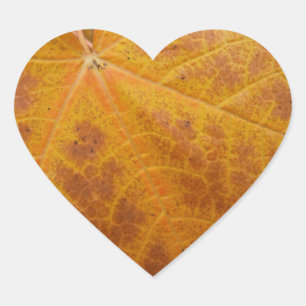 Pegatina En Forma De Corazón Hoja de Arce Amarillo Otoño Abstracto Naturaleza