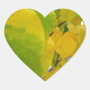 Pegatina En Forma De Corazón Hojas de Redbud amarillas y verdes