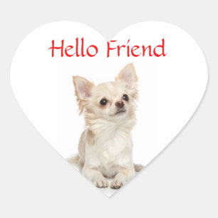 Pegatina En Forma De Corazón Hola Amigo Chihuahua de Pelo Largo Corazón Pegatin