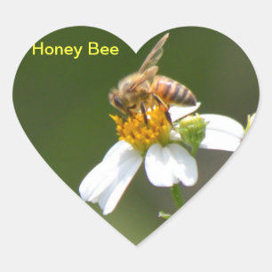 Pegatina En Forma De Corazón Honey Bee blanco Daisy flor Pegatina del corazón