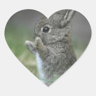 PEGATINA EN FORMA DE CORAZÓN I COART BUNNYS