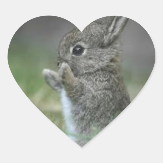 PEGATINA EN FORMA DE CORAZÓN I COART BUNNYS (Anverso)