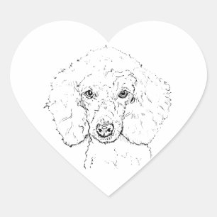 Pegatina En Forma De Corazón Ilustración de perro caniche lindo, dibujado a man