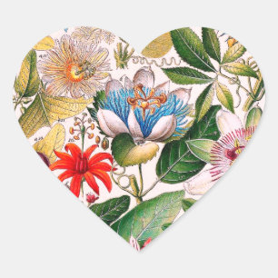 Pegatina En Forma De Corazón Impresión botánica de flores antiguas