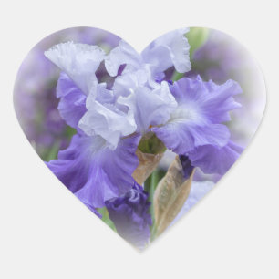 Pegatina En Forma De Corazón Iris con barba Regal - Púrpura y blanco
