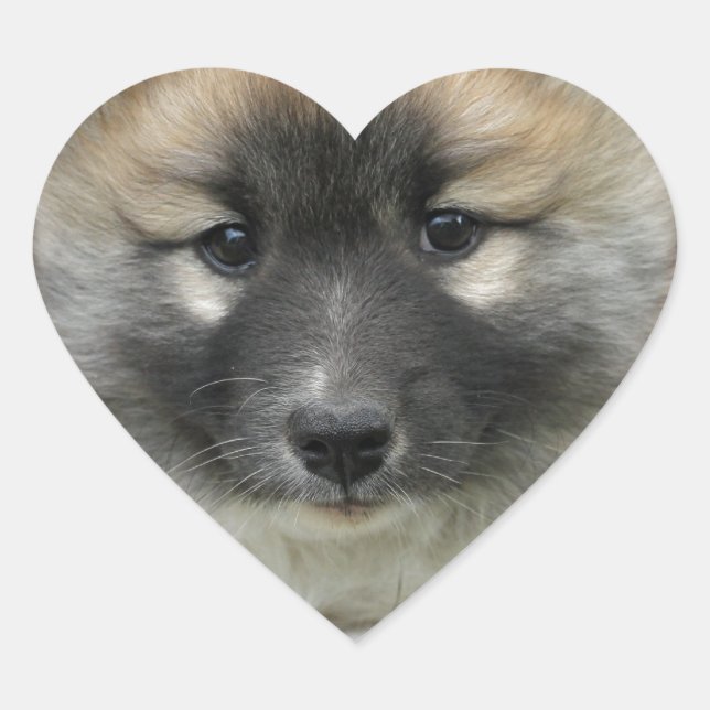 Pegatina En Forma De Corazón Islandhund (Anverso)
