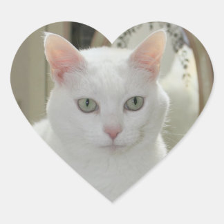 Pegatina En Forma De Corazón La verdadera princesa del gato Bonito