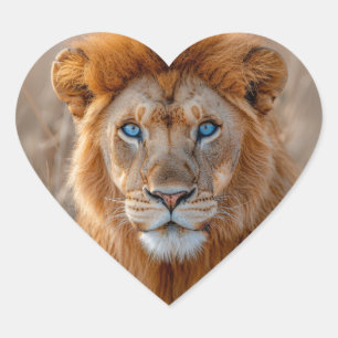 Pegatina En Forma De Corazón León Macho Majestuoso con Ojos Azules Brillantes