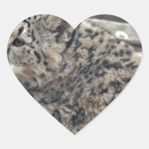 Pegatina En Forma De Corazón Leopardo de la nieve