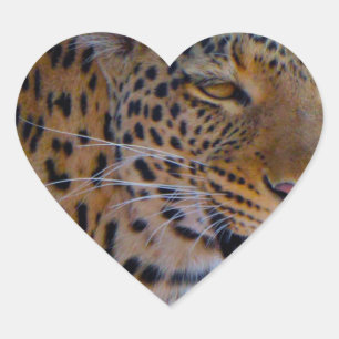 Pegatina En Forma De Corazón Leopardo localizado