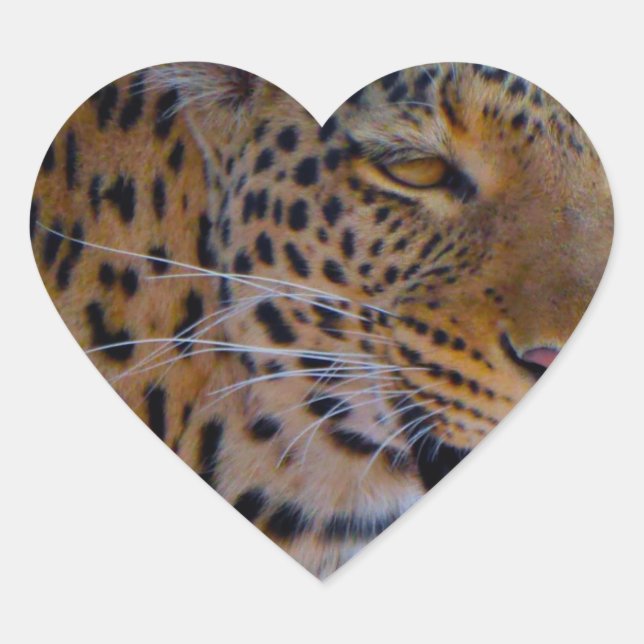 Pegatina En Forma De Corazón Leopardo localizado (Anverso)