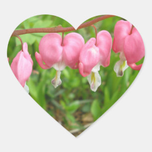 Pegatina En Forma De Corazón "¡Los corazones brillan!"