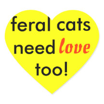 ¡los gatos salvajes también necesitan amor!